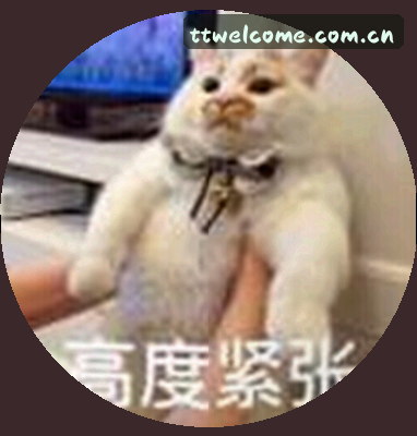 陈磊